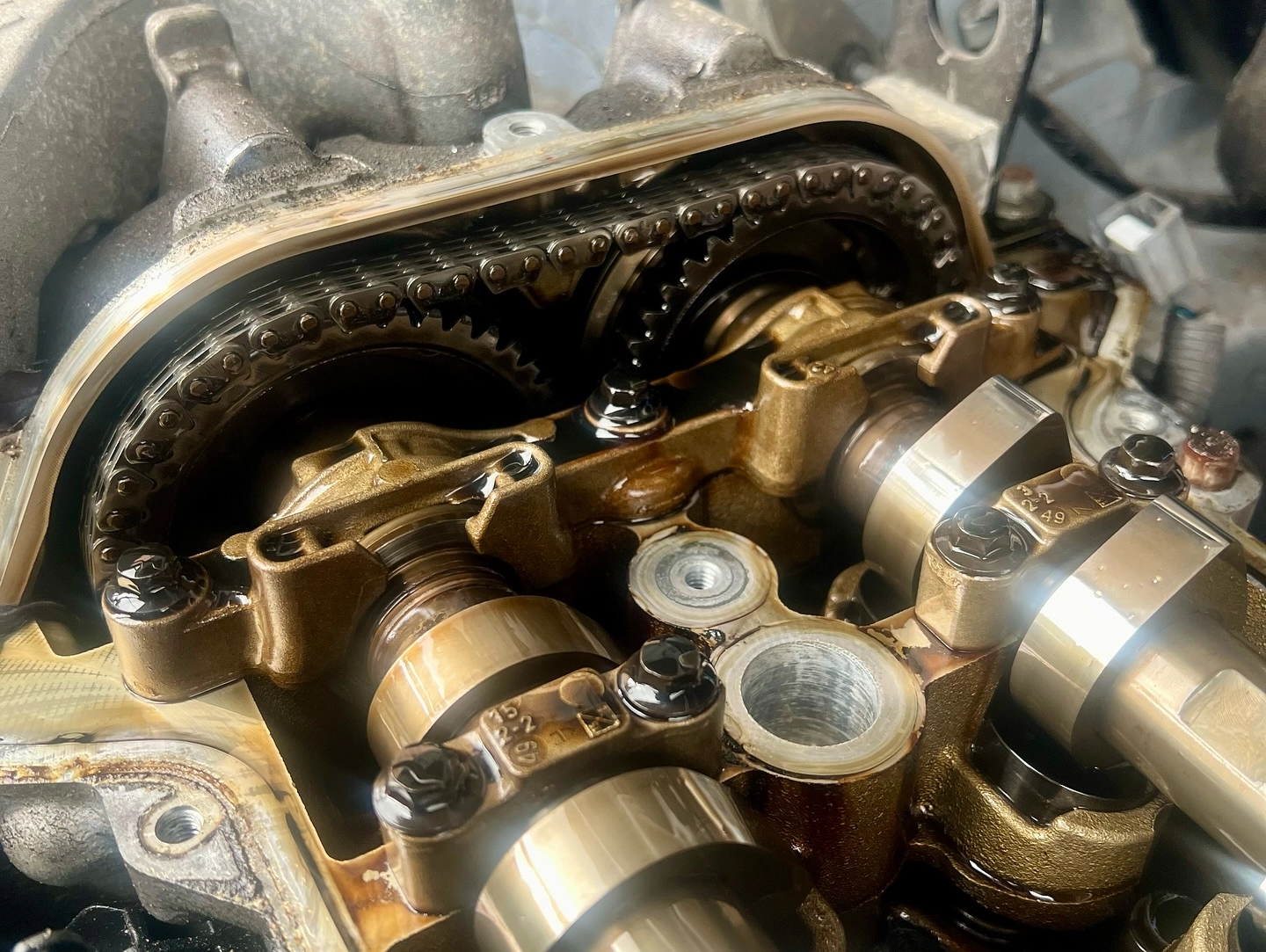 1111111111111111sfgjafgjfgjafgj