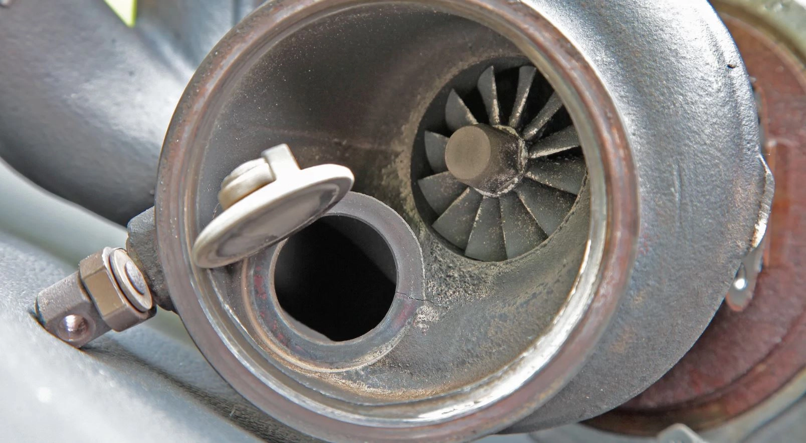 Wastegatedsfgjhsfgjsfgjswf