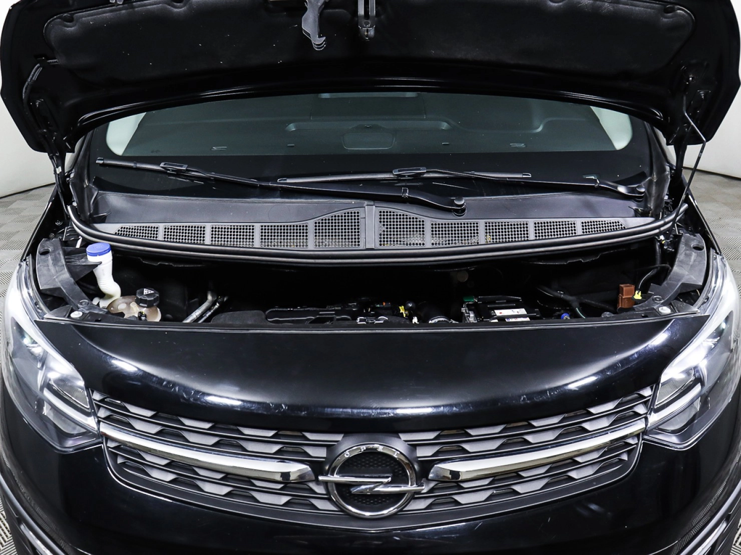 Motor